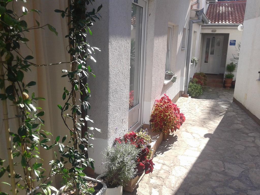 Apartment Terra *