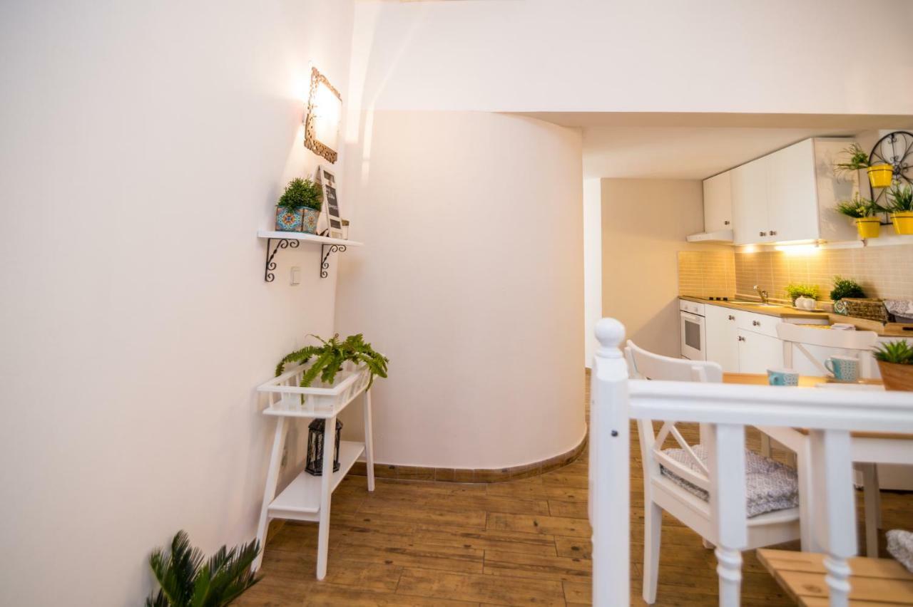 Apartment Terra